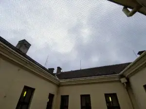 Sít-proti-holubum-Brno